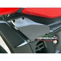 Carbonvani - Ducati Streetfighter V4 / V2 GP Style Carbon Fiber Winglet Kit (2 pieces)